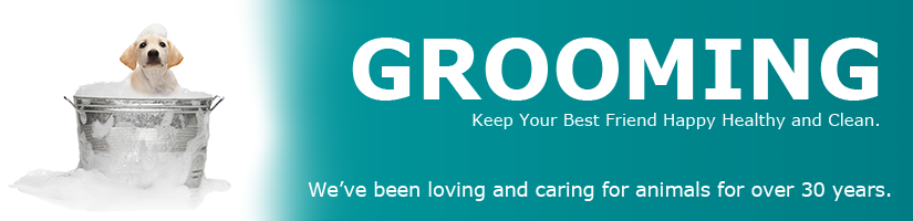 Grooming Page Banner